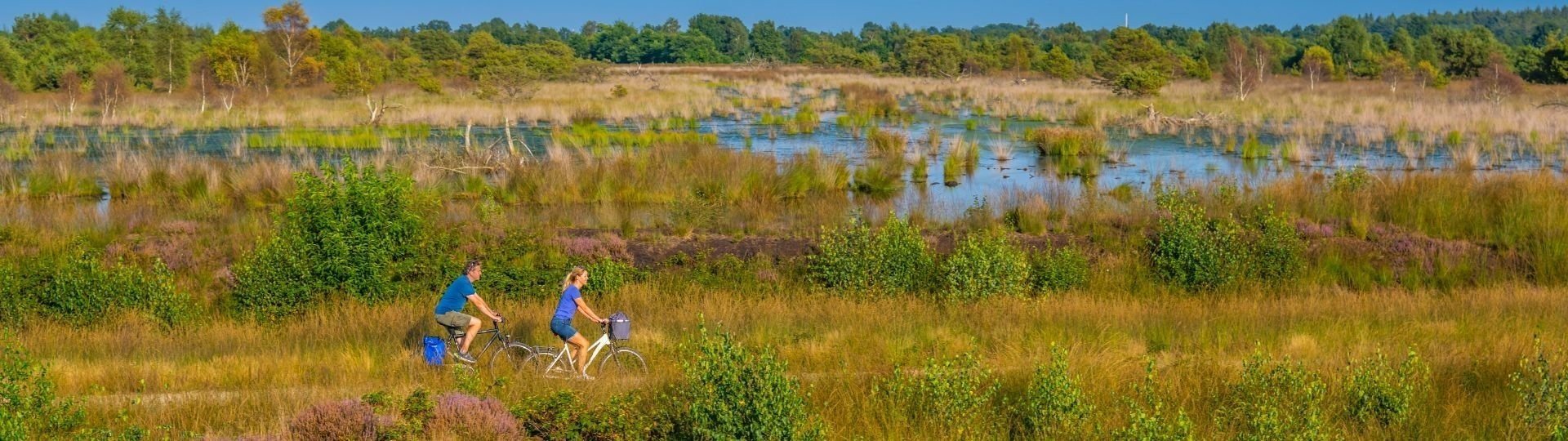 Banner camping hasetal 4