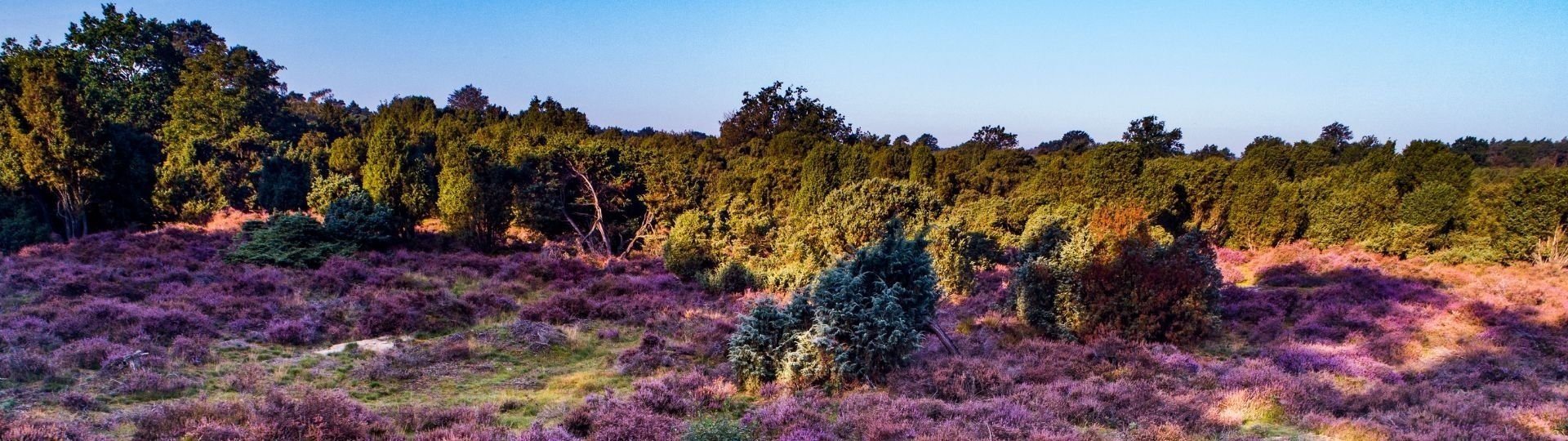 Banner camping hasetal 7