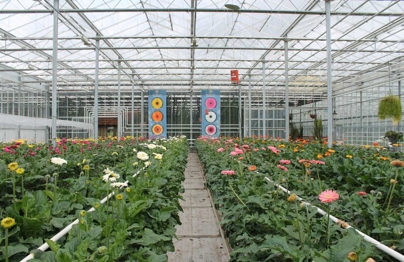 Erlebnispark Emsflower