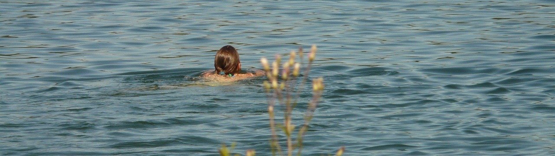 Natursee meppen schwimmen